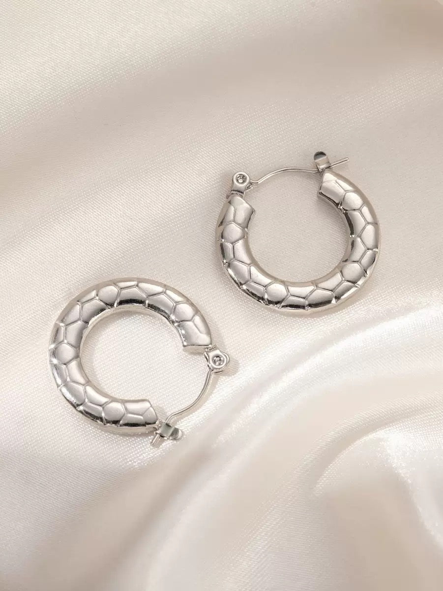Stainless steel classic hoops