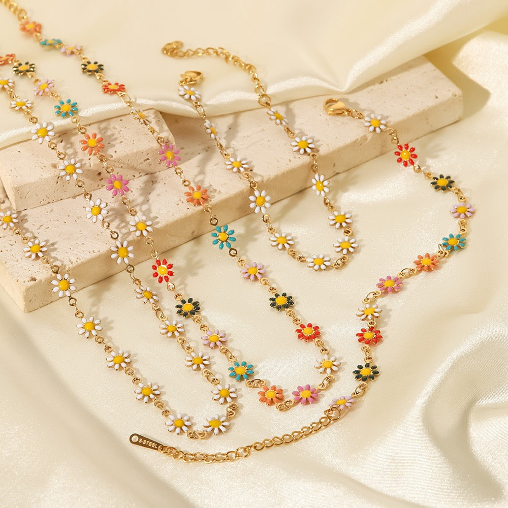 Darien Daisy collections