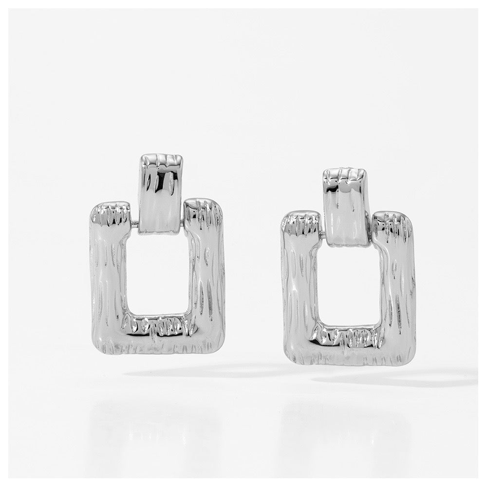 Texas earrings