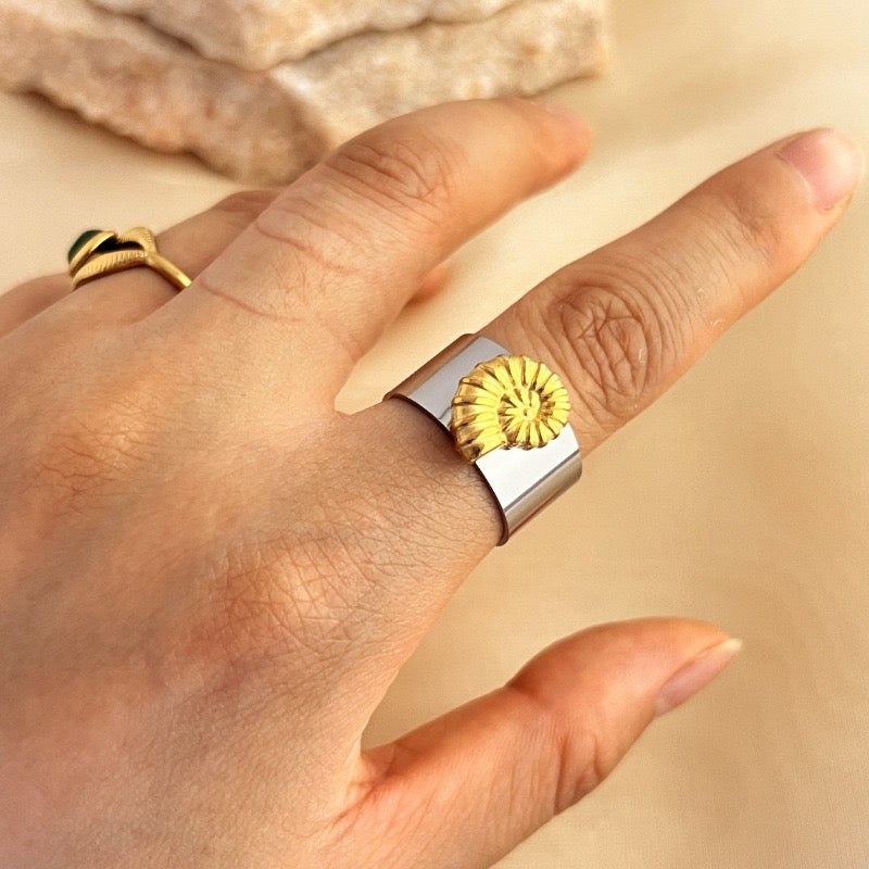 Nautilus rings