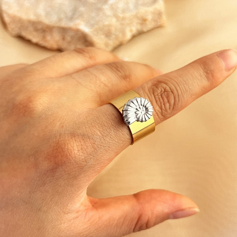 Nautilus rings