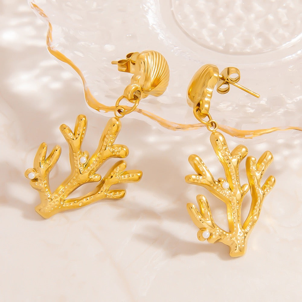 Coral shell earrings