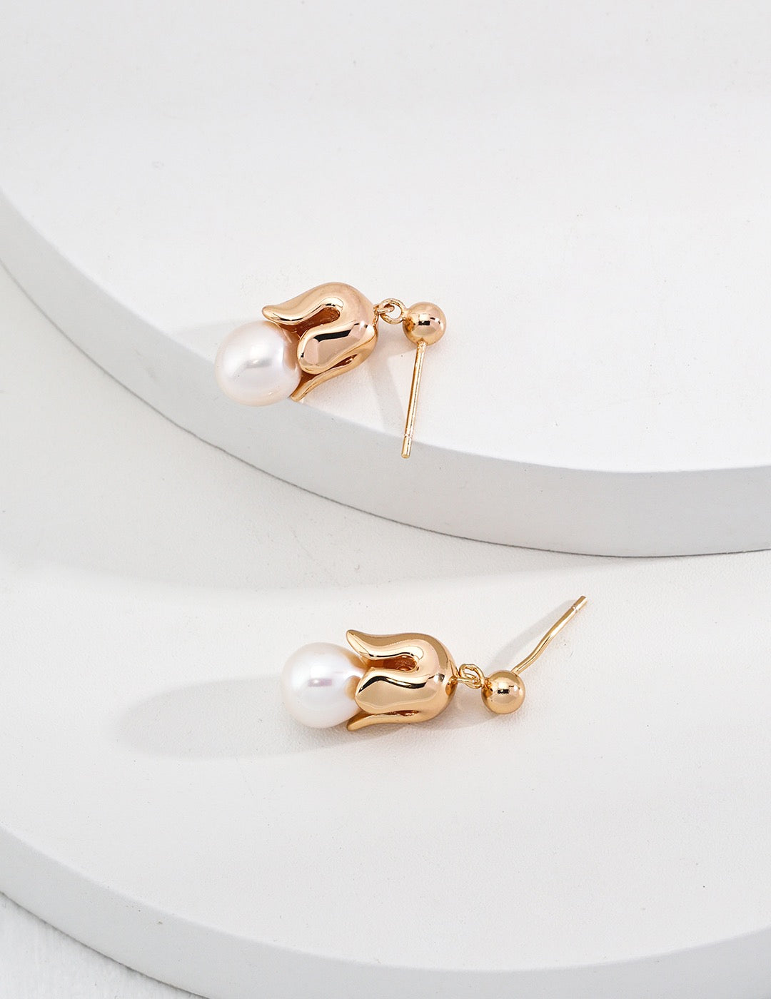 Roma Orchid flower set