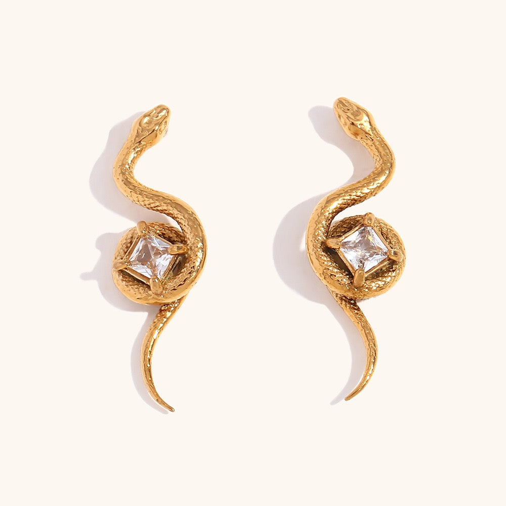 Snake rock set