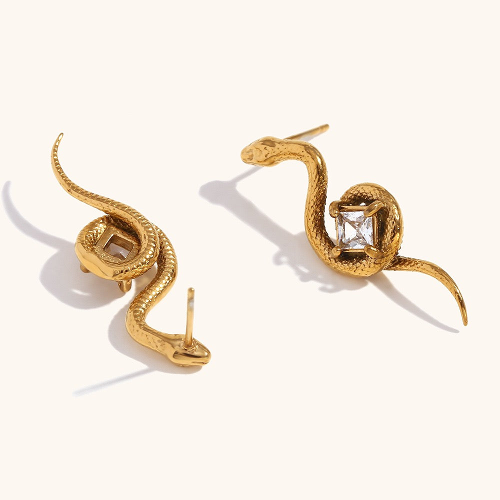 Snake rock set
