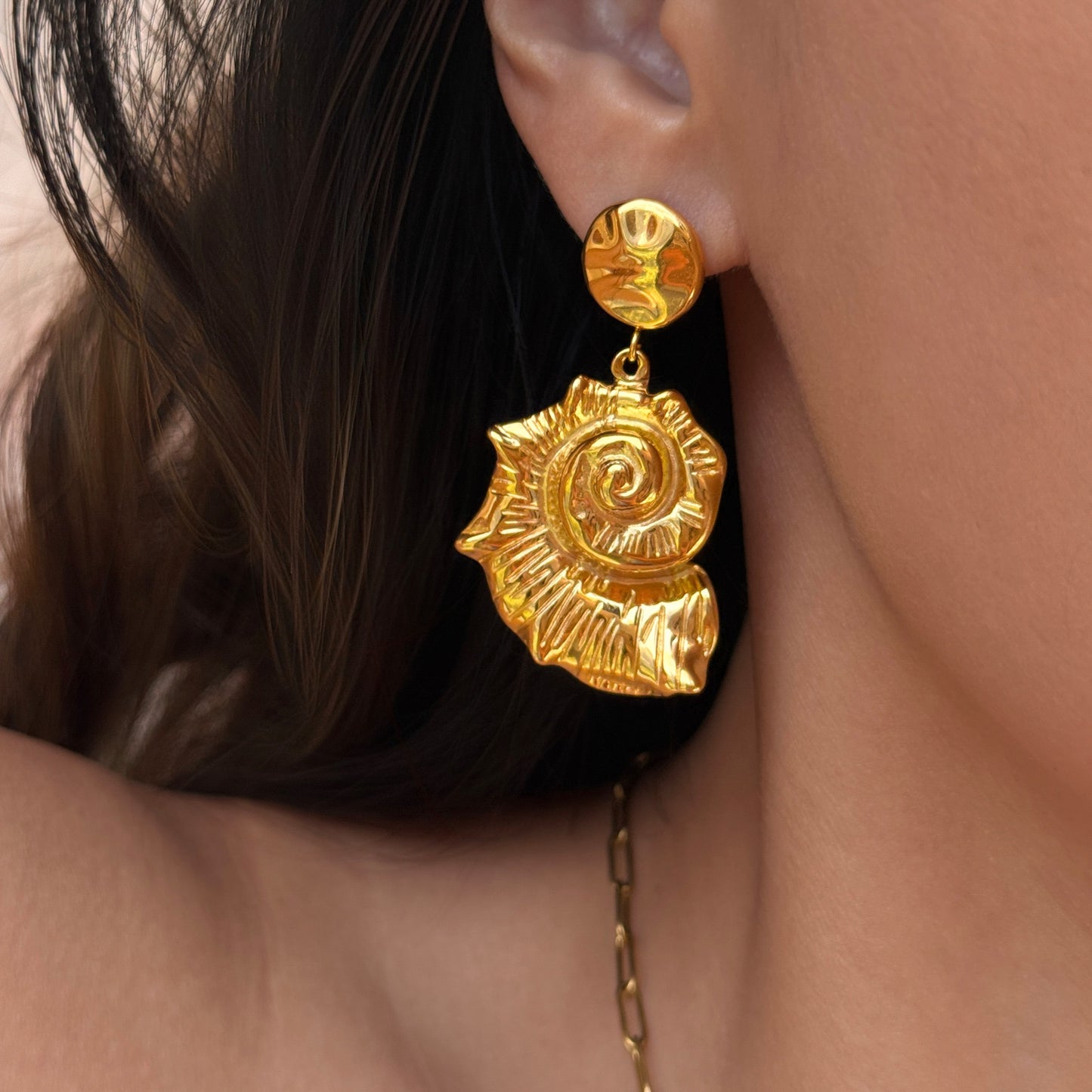 Big sea shell earrings