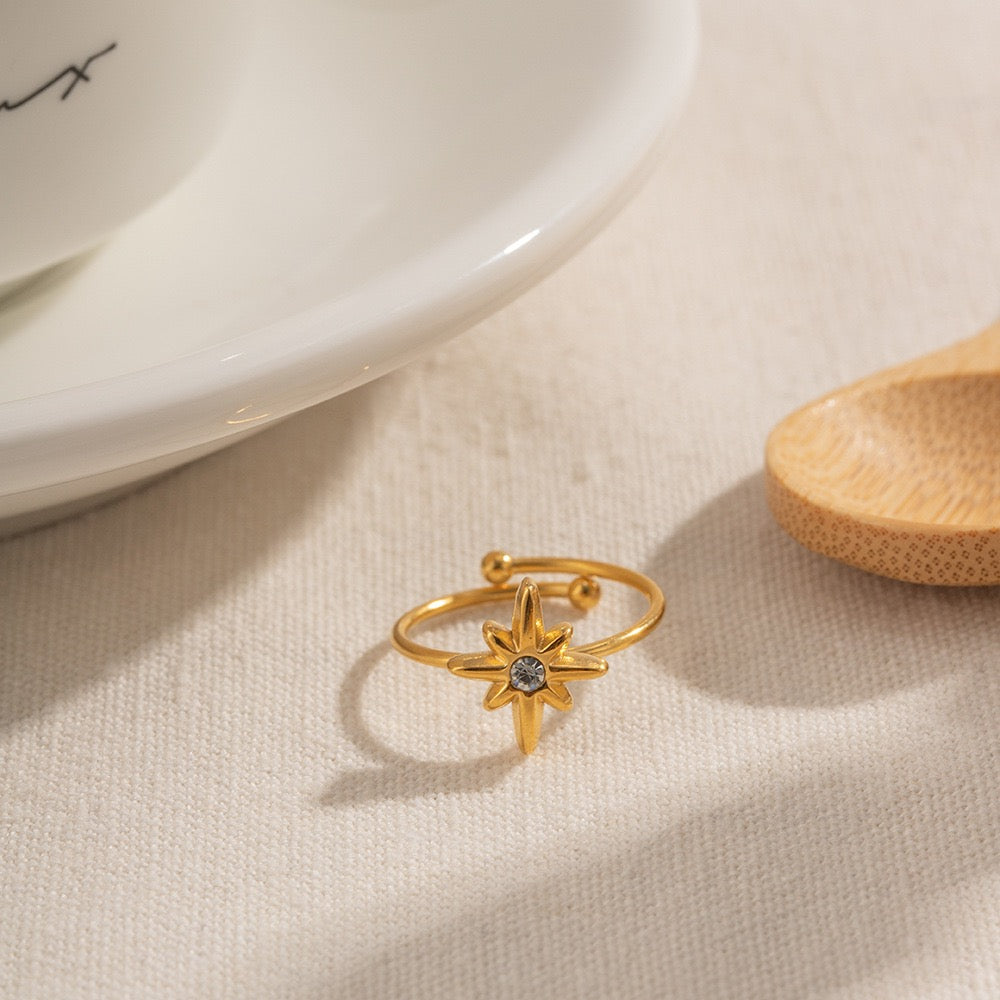 Arion Polaris ring