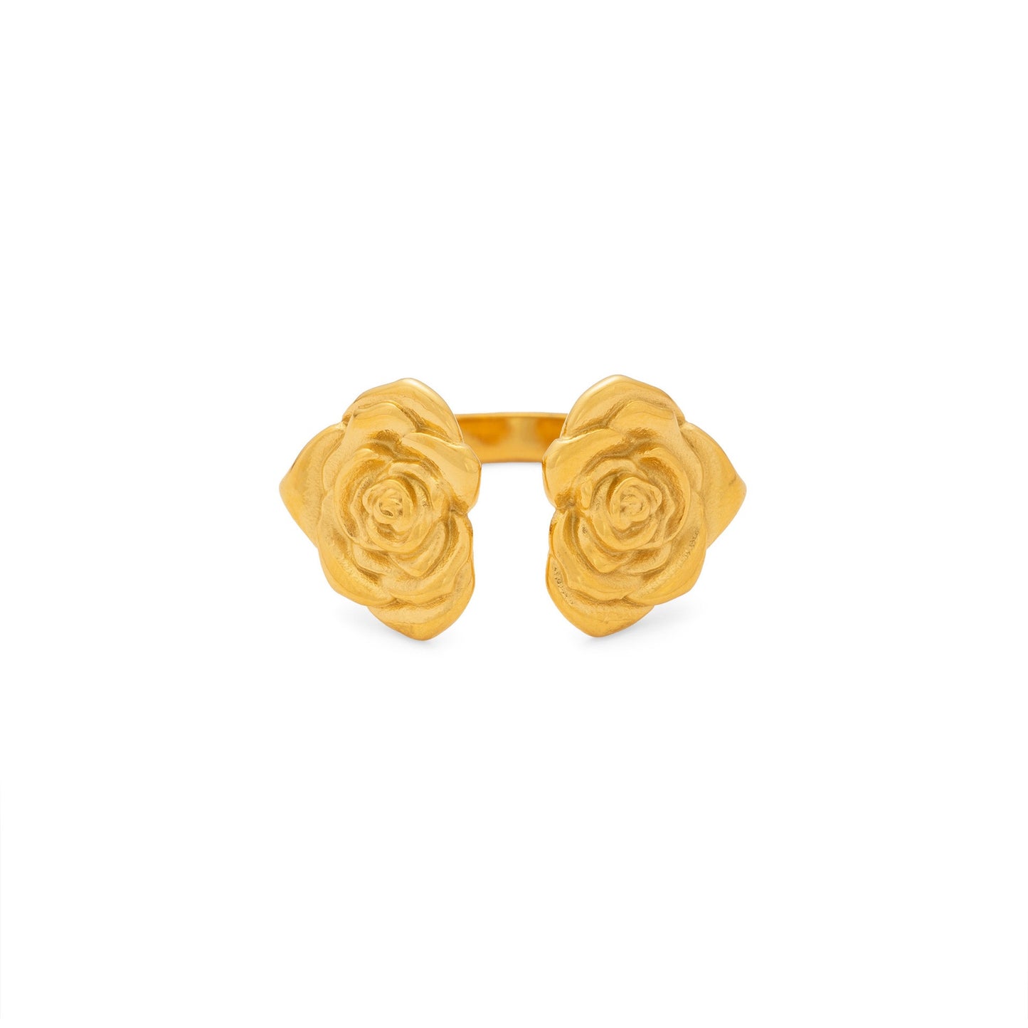 Rose garden collection