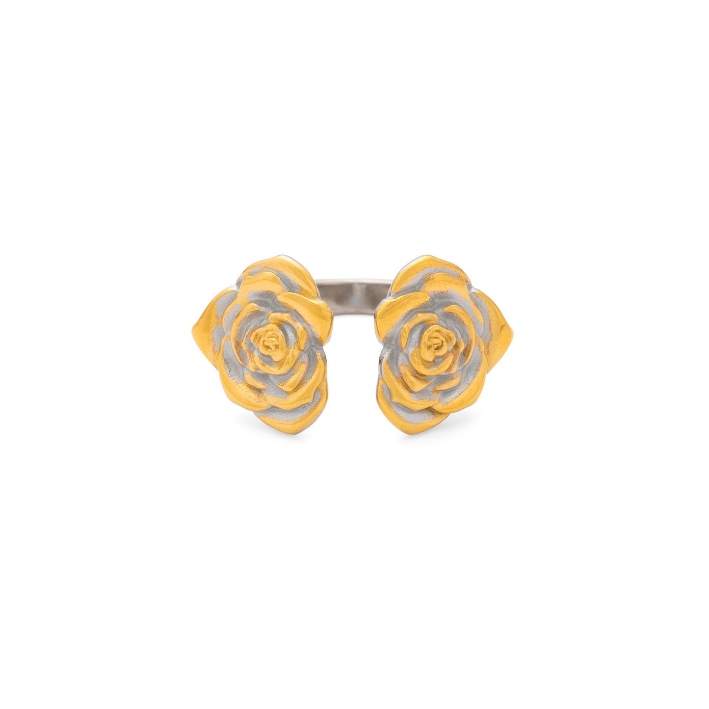 Rose garden collection