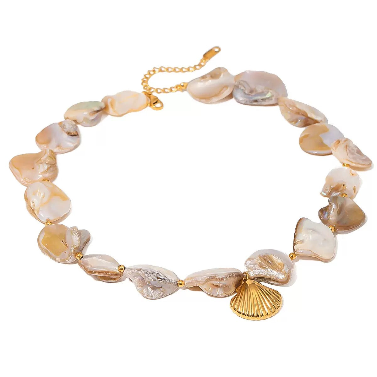 Lewes Natural shell collections