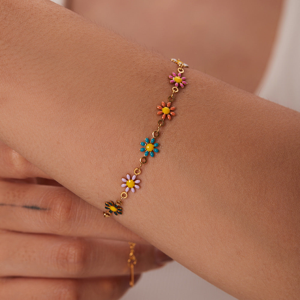 Darien Daisy collections