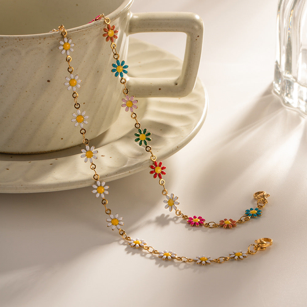 Darien Daisy collections