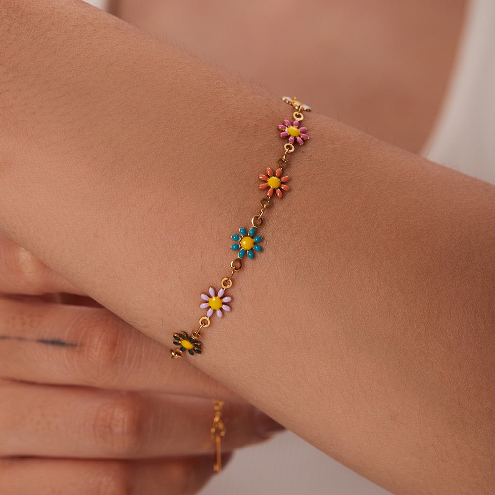 Darien Daisy collections