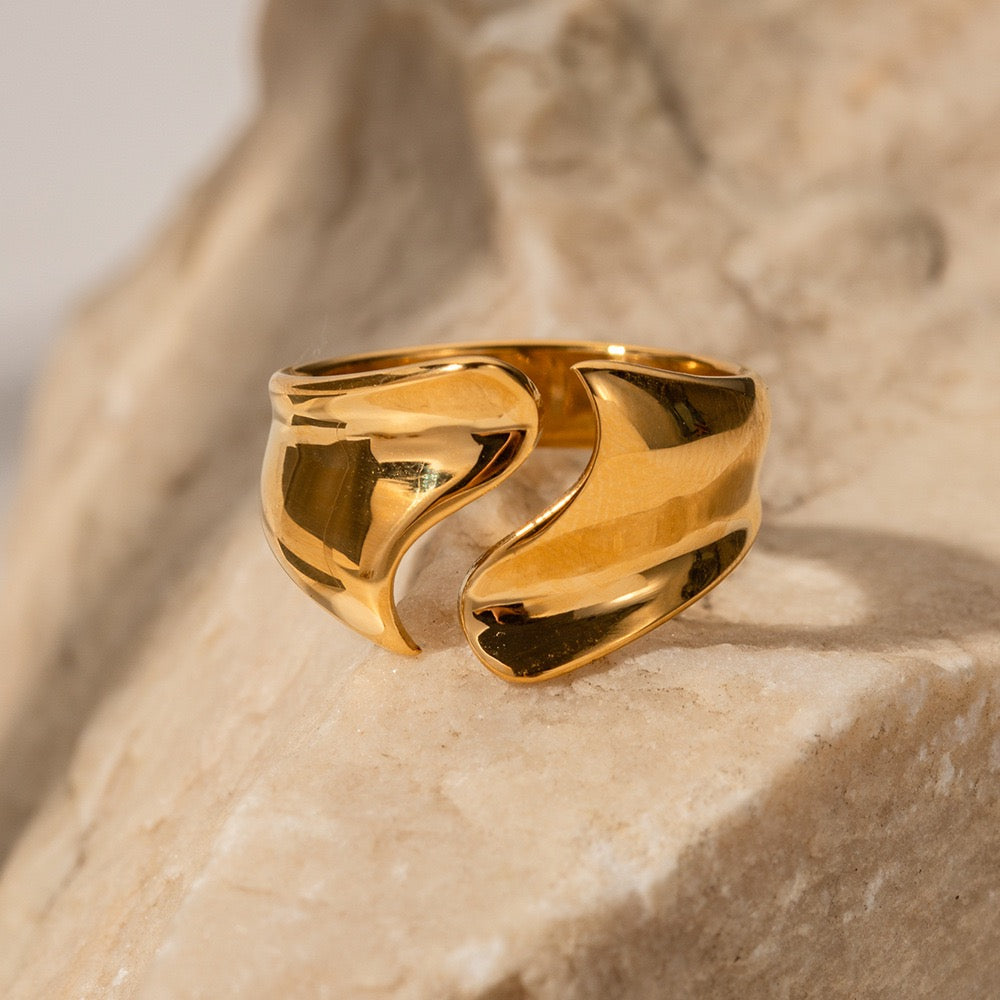Higgie rings