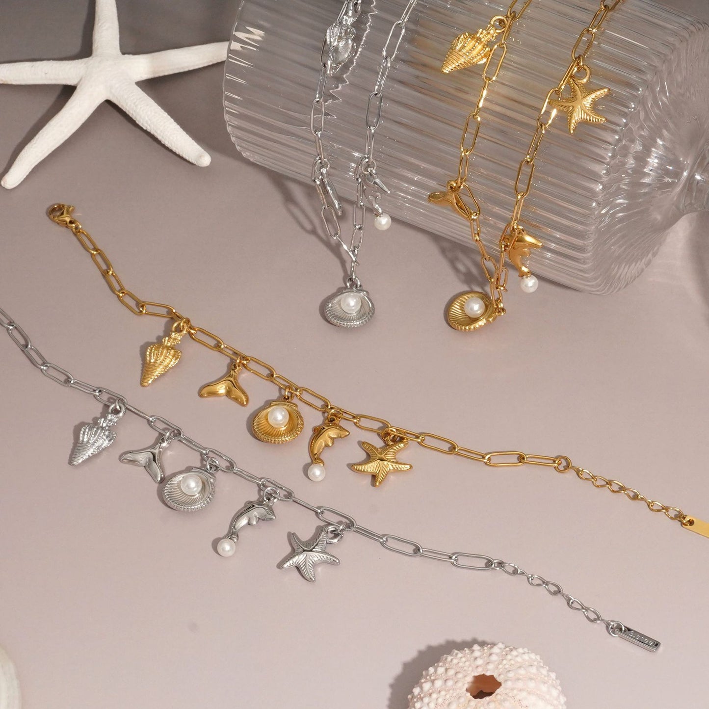 Dolphin shell set