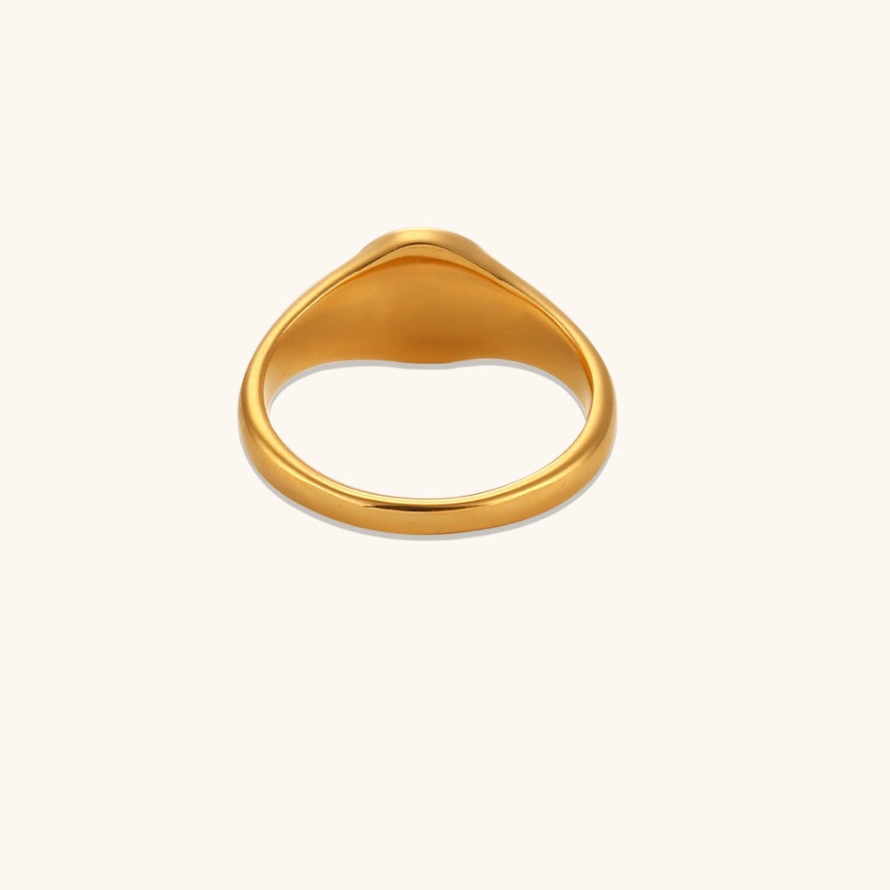 Sierra F***rings