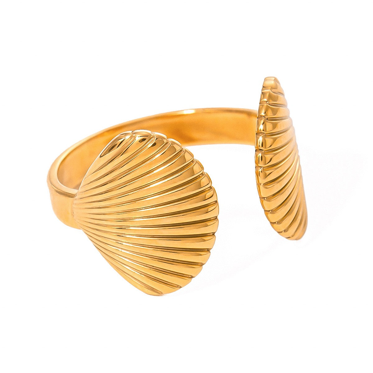 Bondi January shell ring