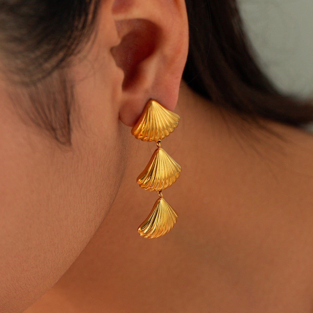 Three shells rings