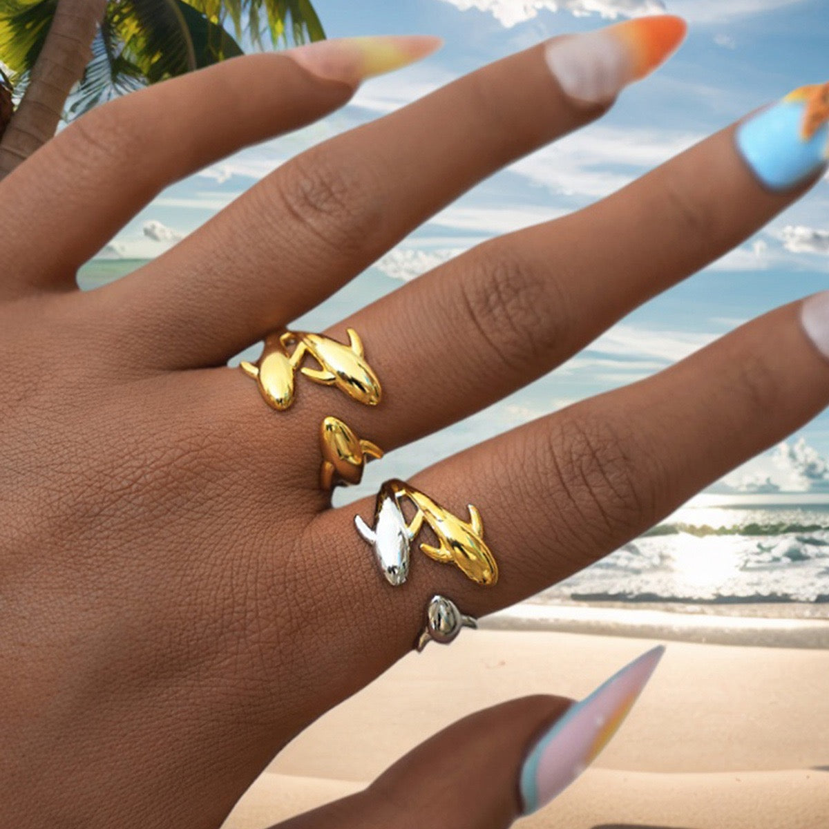 Dolphins world rings