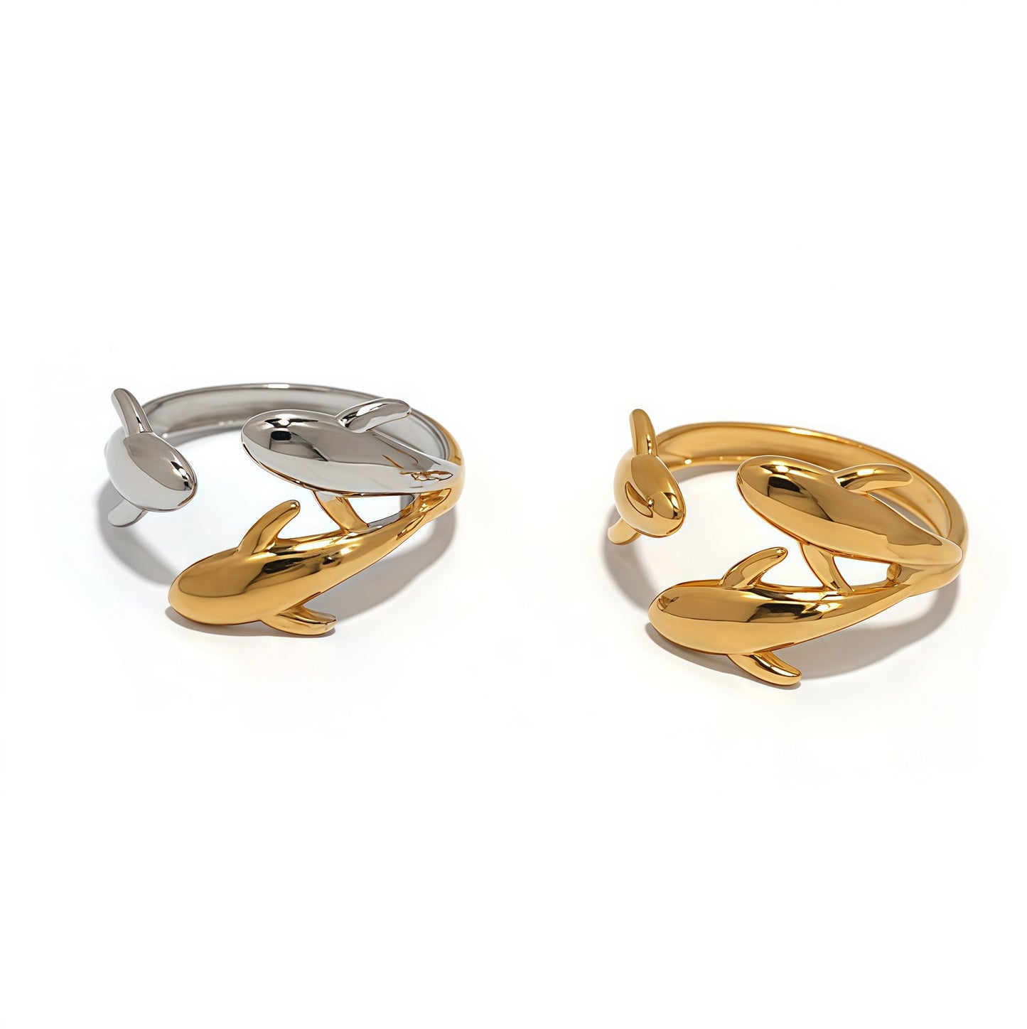 Dolphins world rings