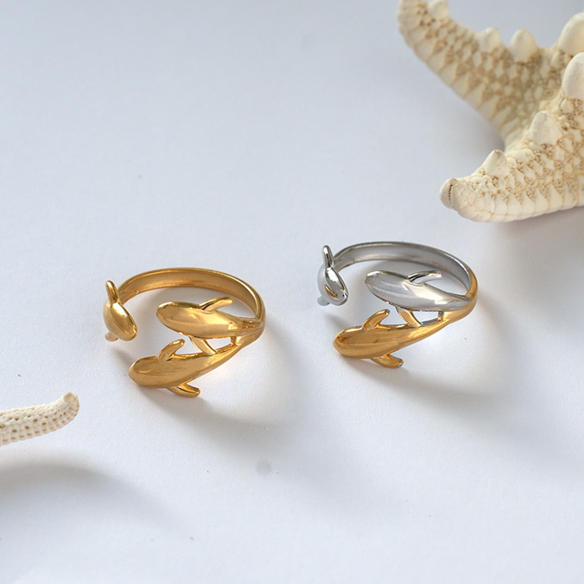 Dolphins world rings