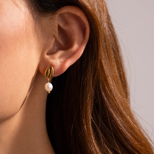 Seashell pearl studs