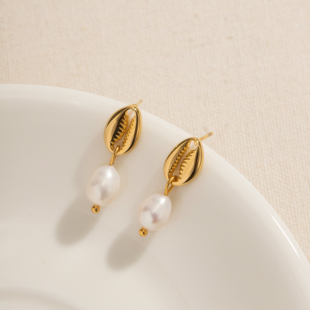 Seashell pearl studs