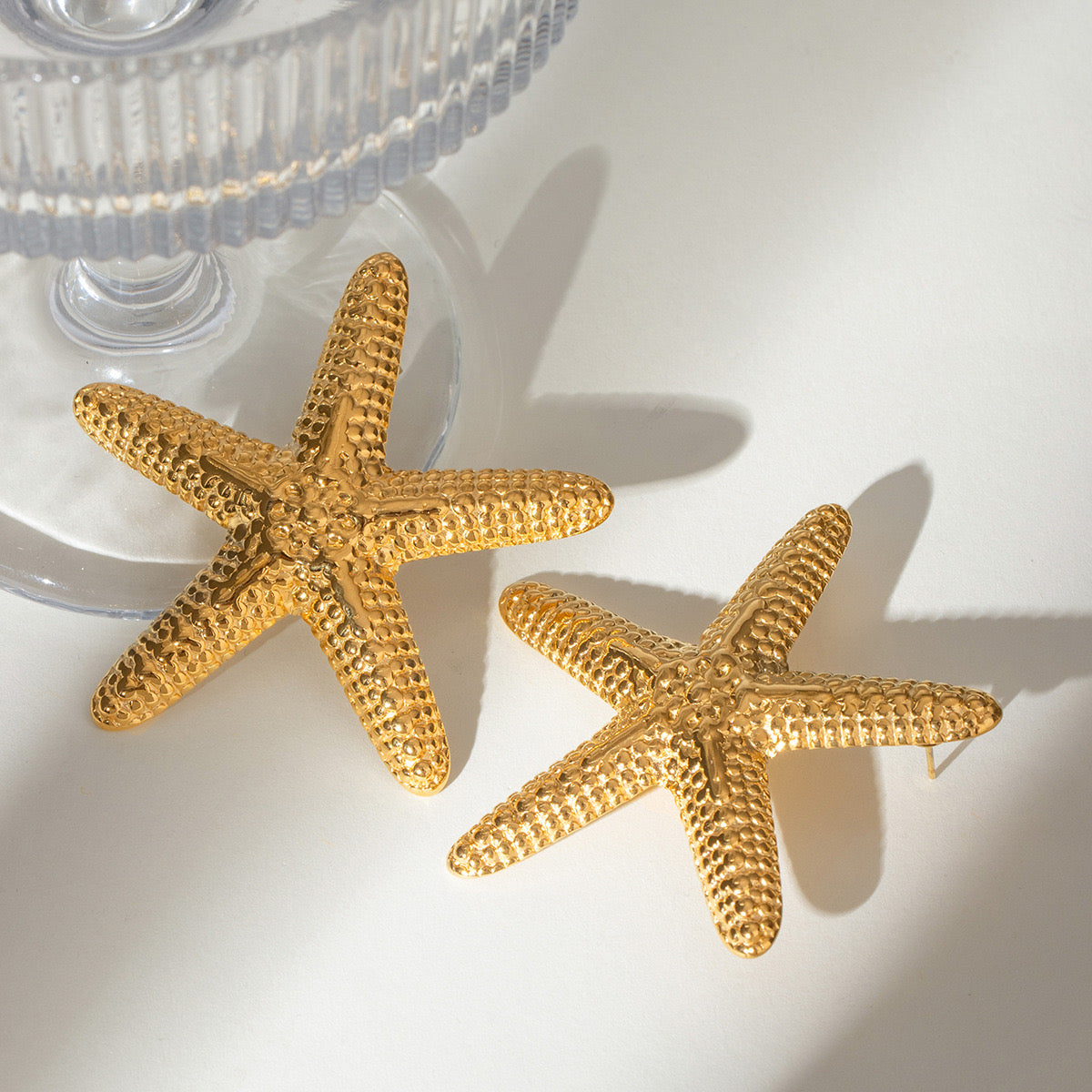 Big sea starfish set