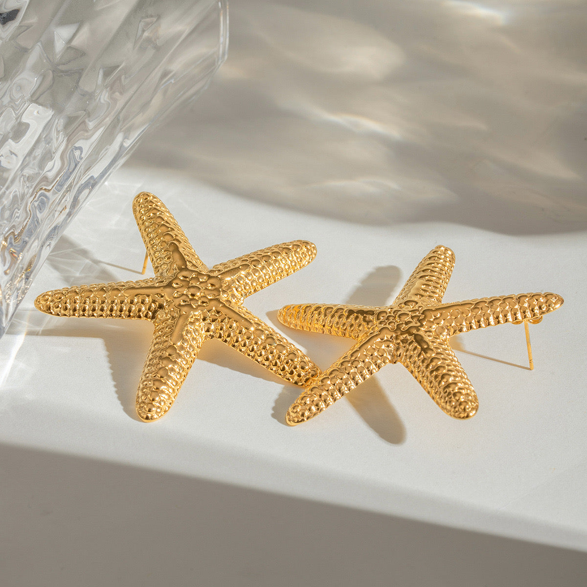 Big sea starfish set