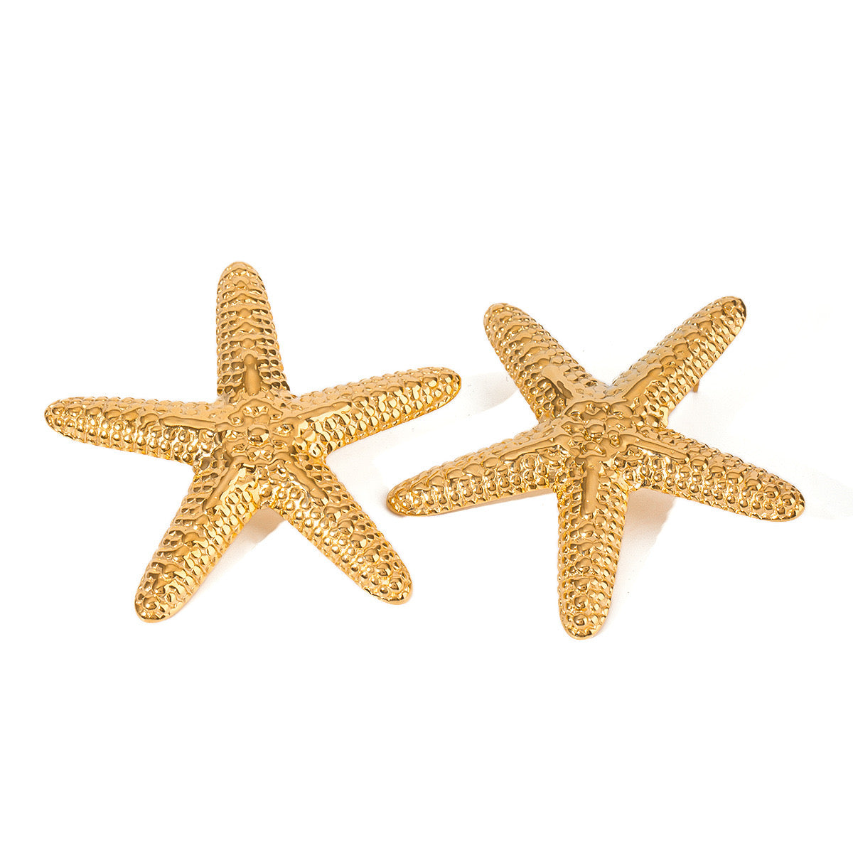 Big sea starfish set