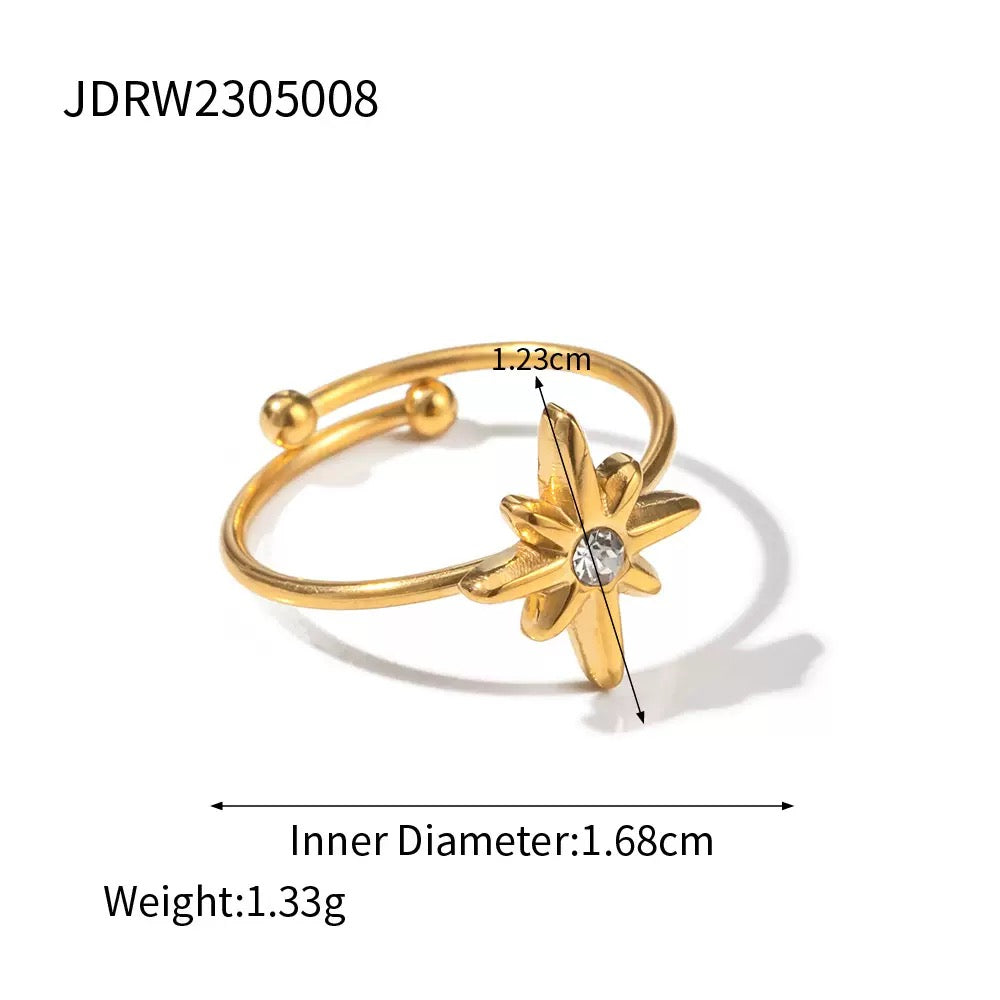 Arion Polaris ring