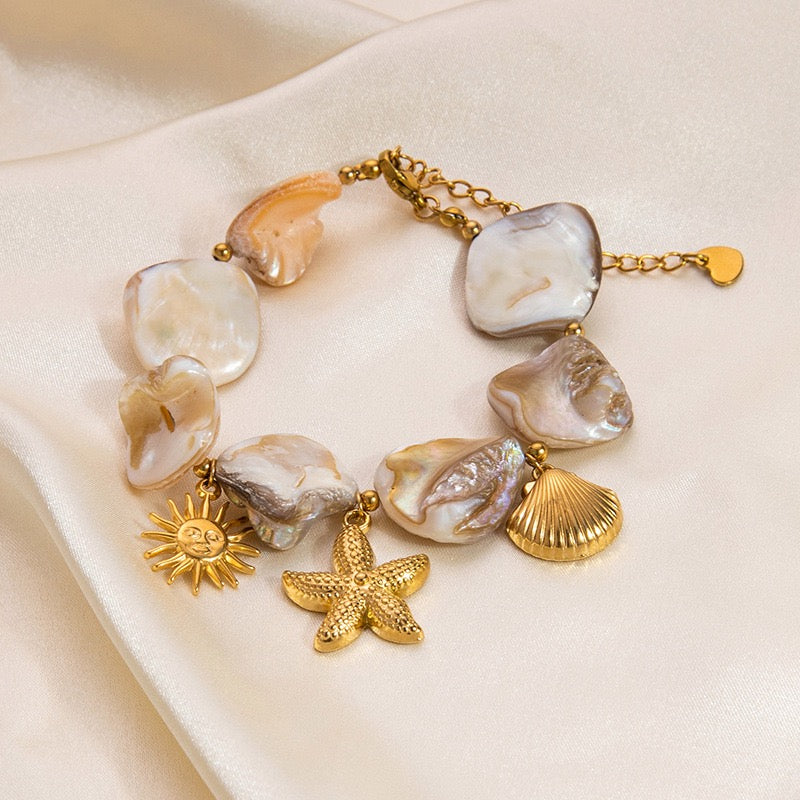 Natural shell starfish set