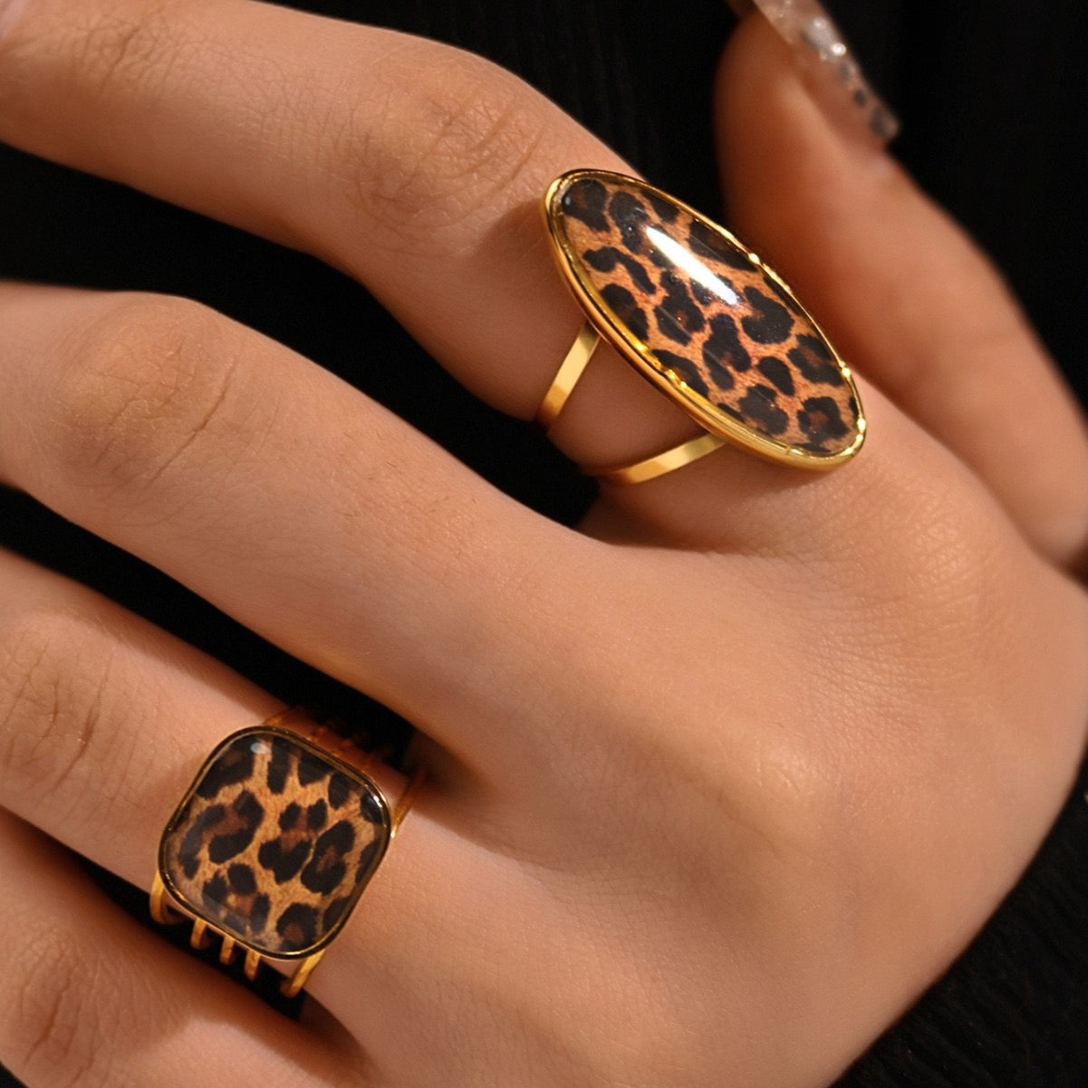 Leopard collection